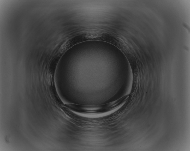 X0000091900227200709191243