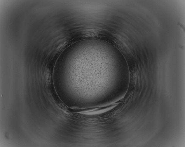 X0000091900228200709191243