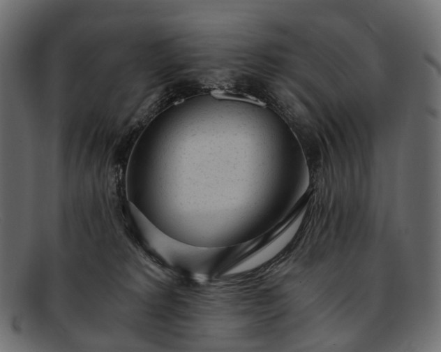 X0000091900229200709191243