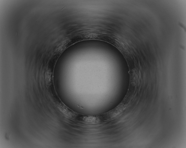 X0000091900230200709191243