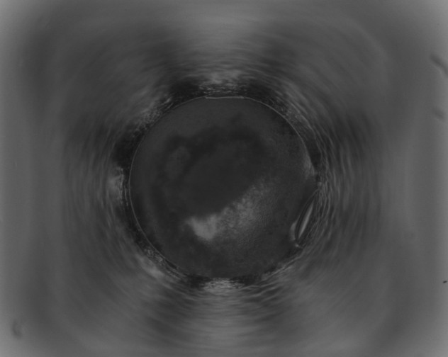 X0000091900231200709191243