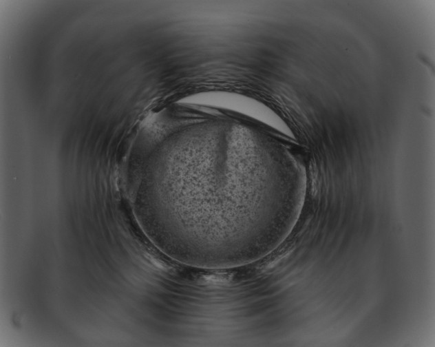 X0000091900232200709191243