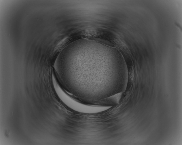 X0000091900233200709191243