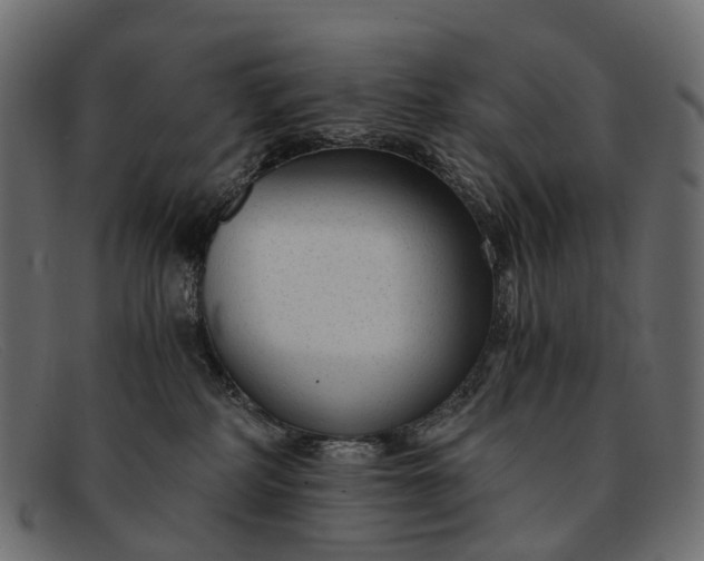 X0000091900234200709191243