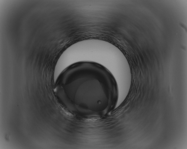 X0000091900235200709191243