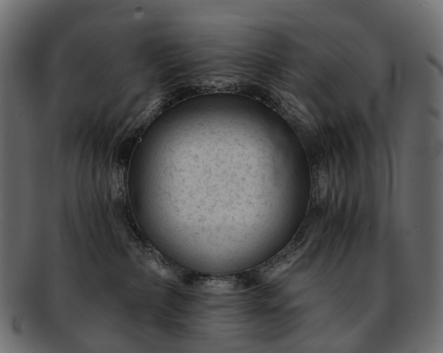 X0000091900236200709191243