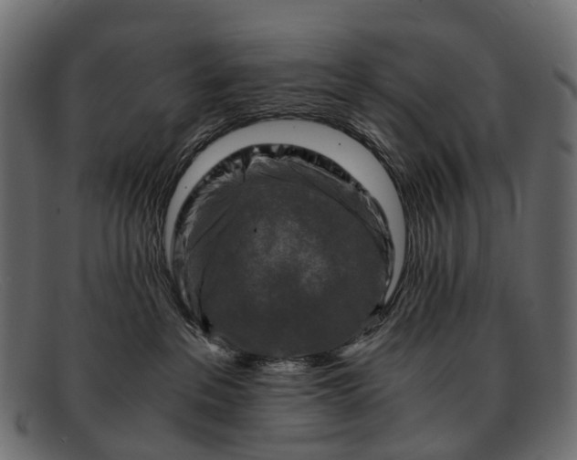 X0000091900237200709191243