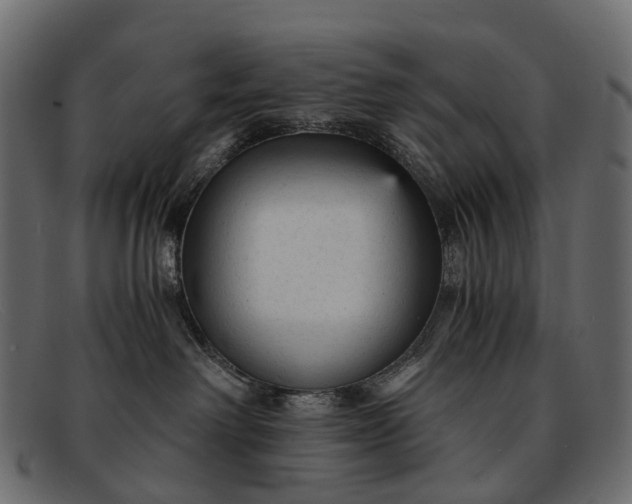 X0000091900238200709191243