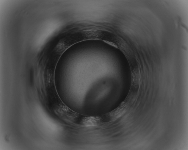 X0000091900239200709191243