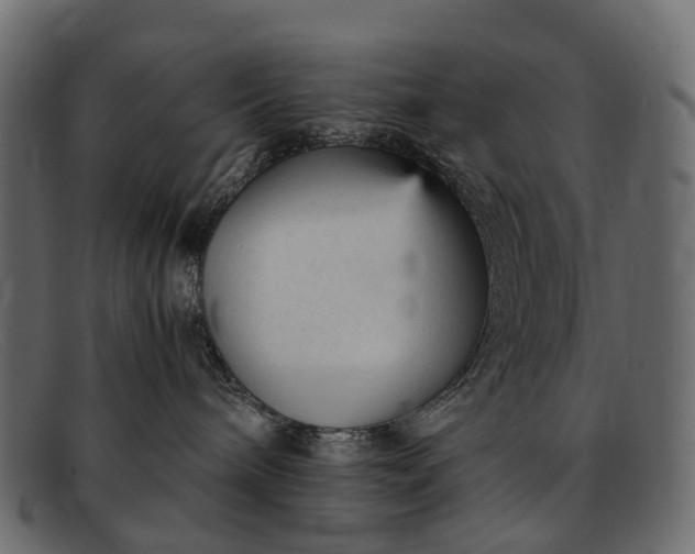 X0000091900240200709191243