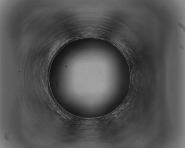 X0000091900241200709191243