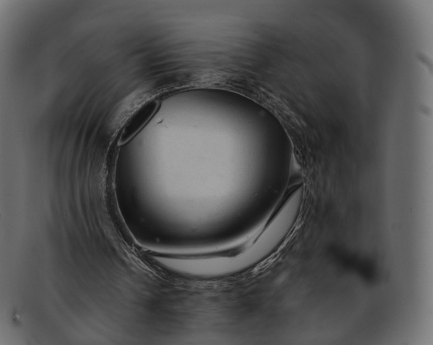 X0000091900242200709191243