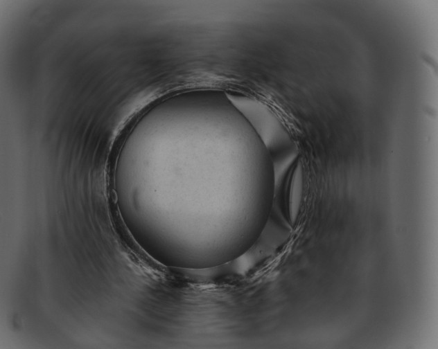 X0000091900244200709191243