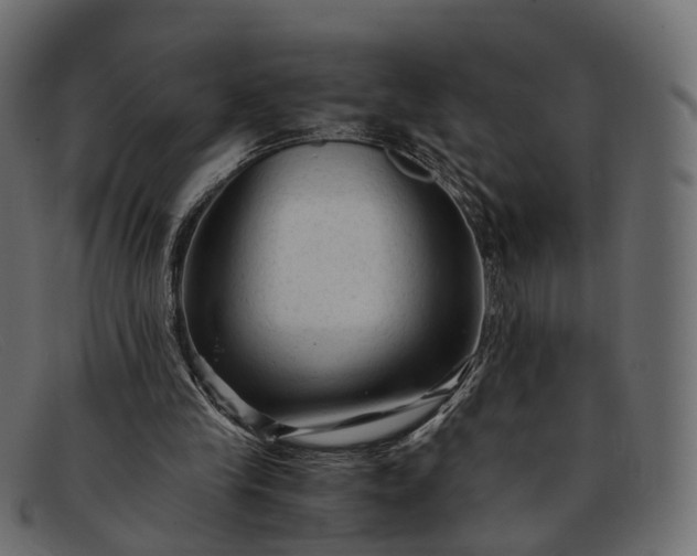 X0000091900245200709191243