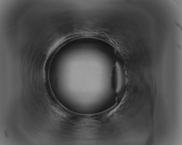 X0000091900246200709191243