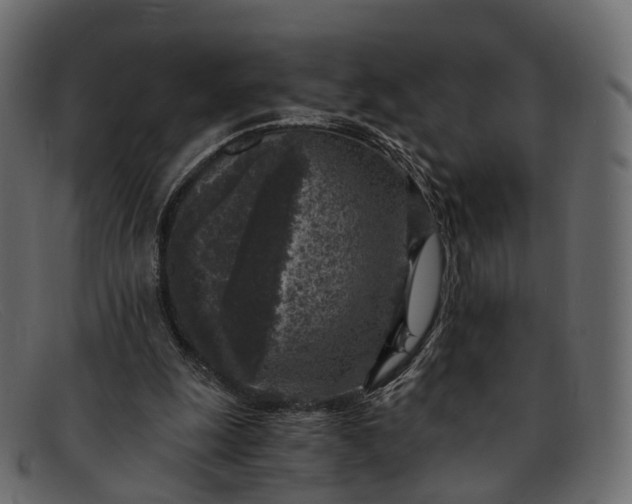 X0000091900247200709191243