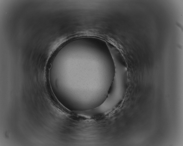 X0000091900248200709191243