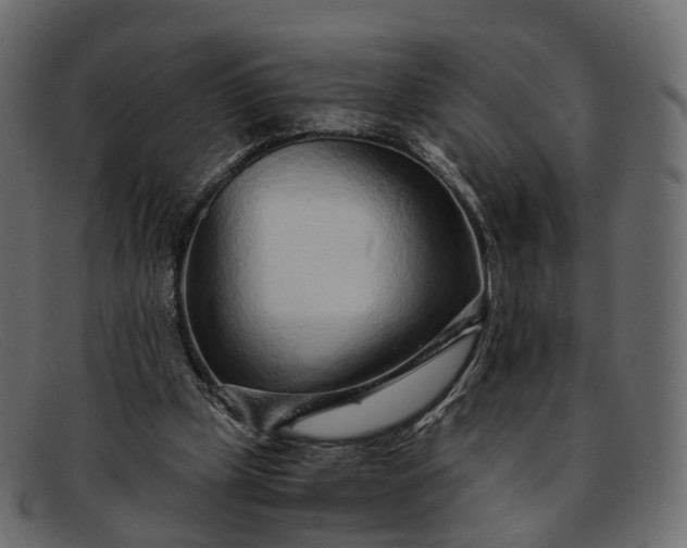 X0000091900249200709191243