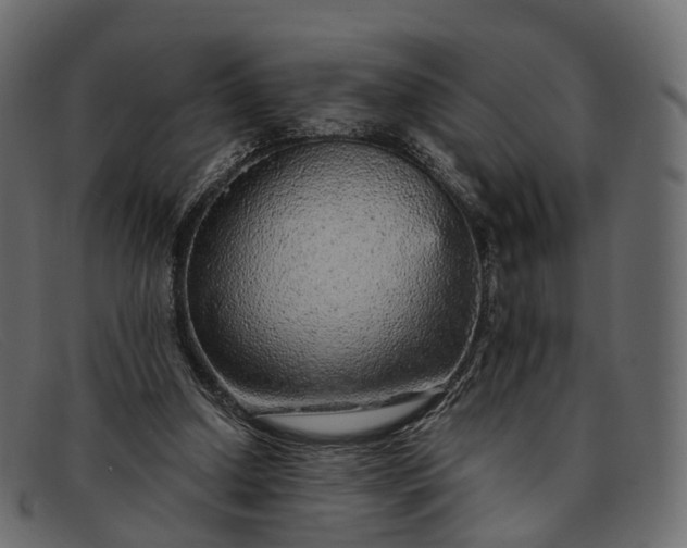 X0000091900250200709191243