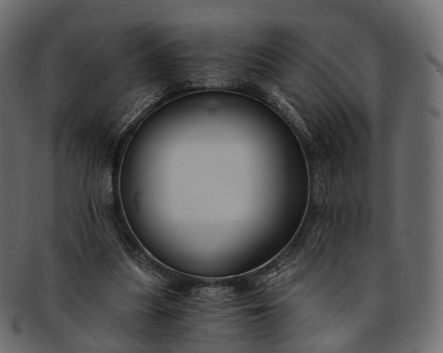 X0000091900251200709191243