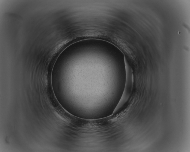 X0000091900252200709191243