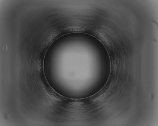 X0000091900255200709191243