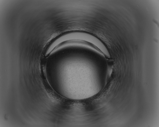 X0000091900256200709191243