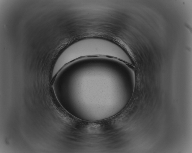 X0000091900257200709191243