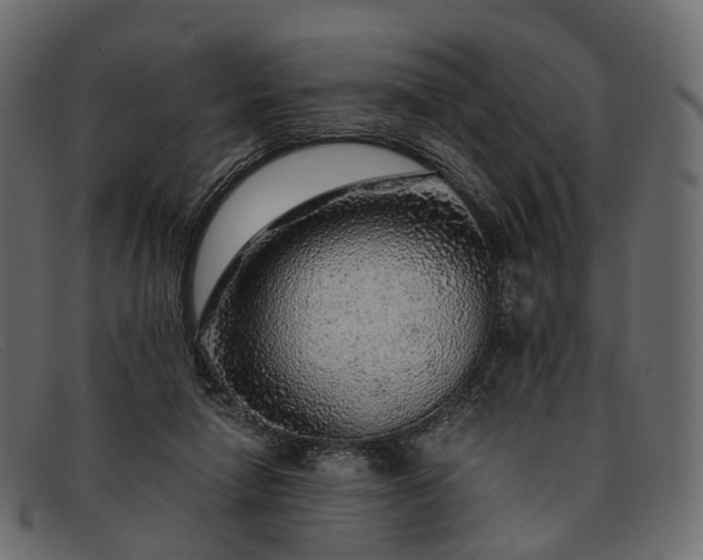 X0000091900258200709191243