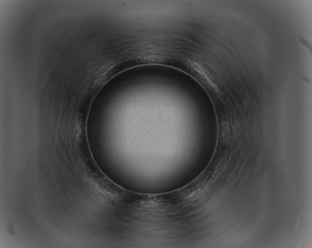 X0000091900259200709191243