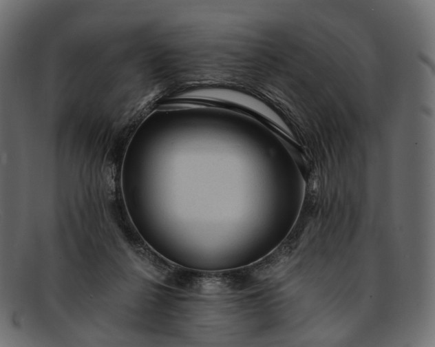 X0000091900264200709191243