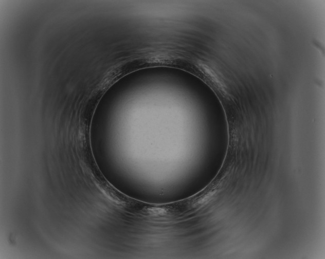 X0000091900265200709191243