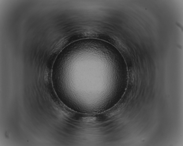 X0000091900266200709191243