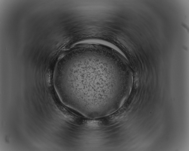 X0000091900268200709191243