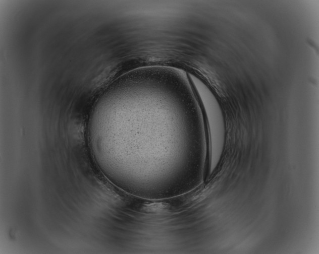 X0000091900269200709191243