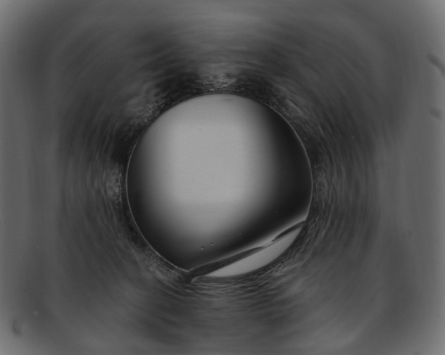 X0000091900274200709191243