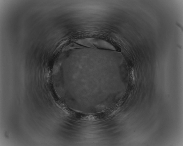 X0000091900276200709191243