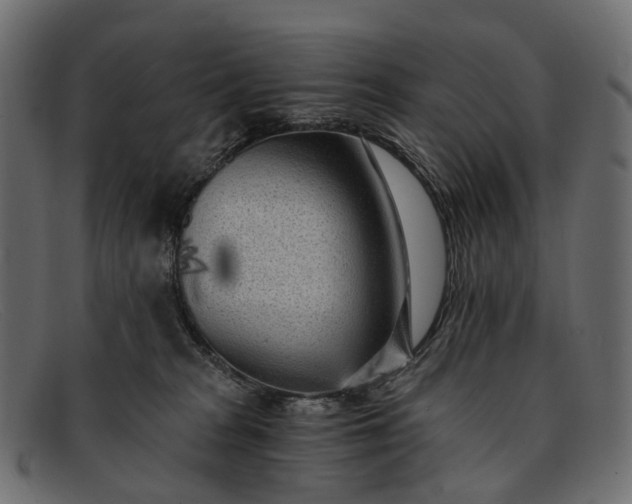 X0000091900277200709191243