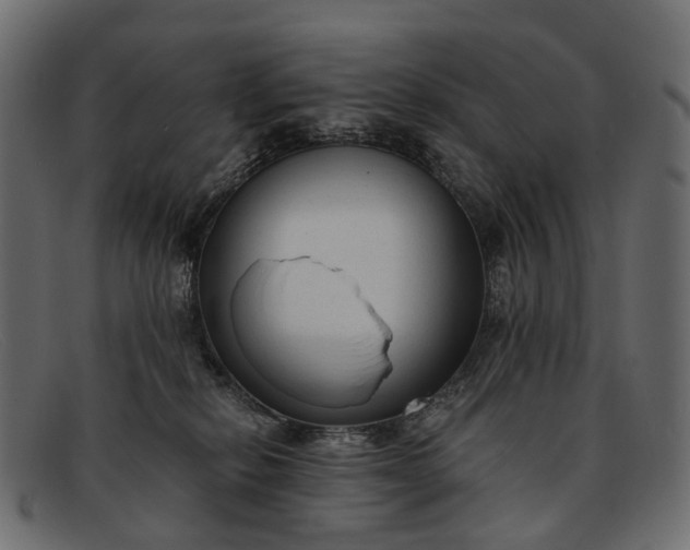 X0000091900278200709191243