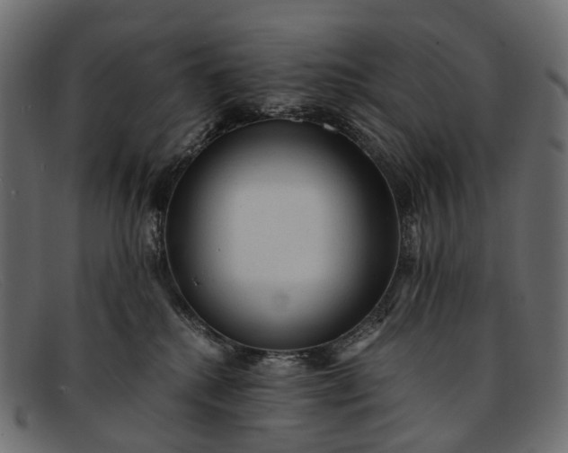 X0000091900280200709191243