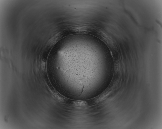 X0000091900281200709191243