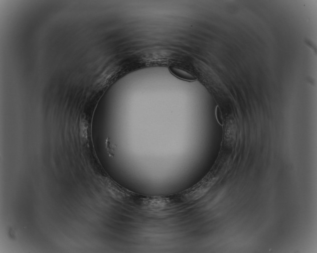 X0000091900282200709191243