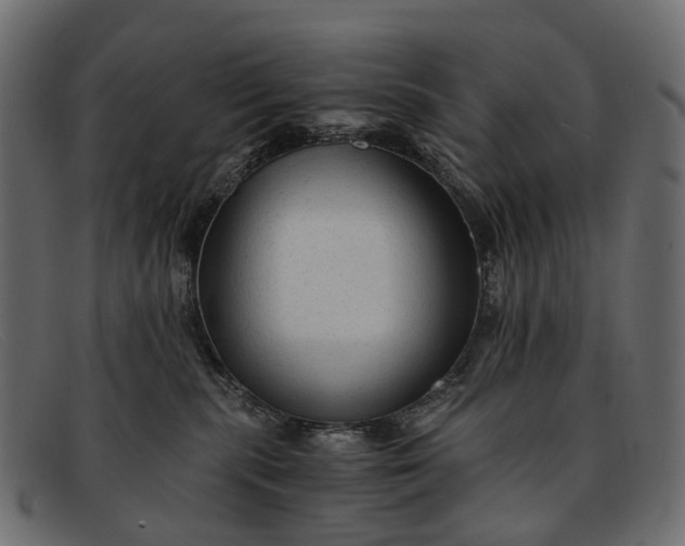 X0000091900283200709191243