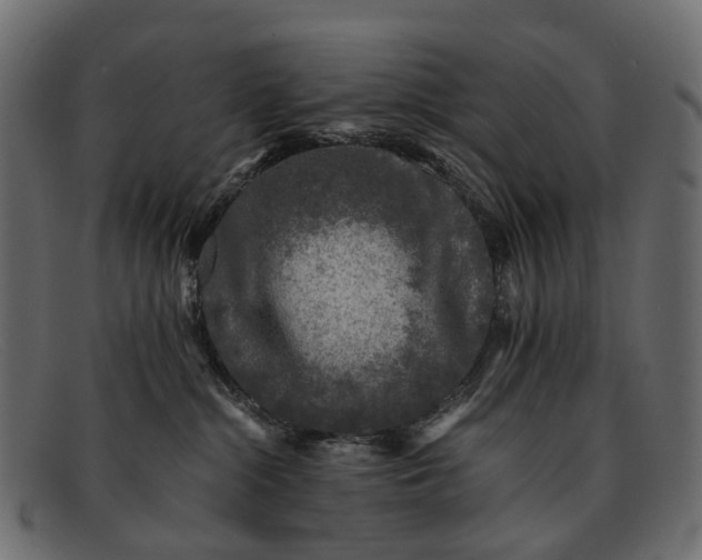 X0000091900284200709191243