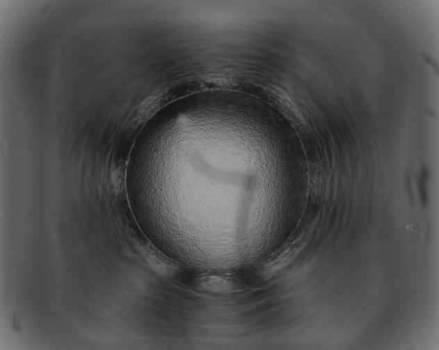 X0000091900285200709191243