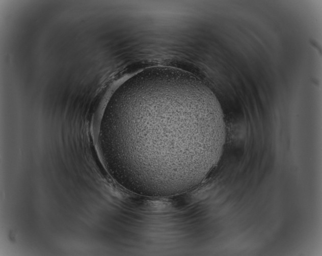 X0000091900286200709191243