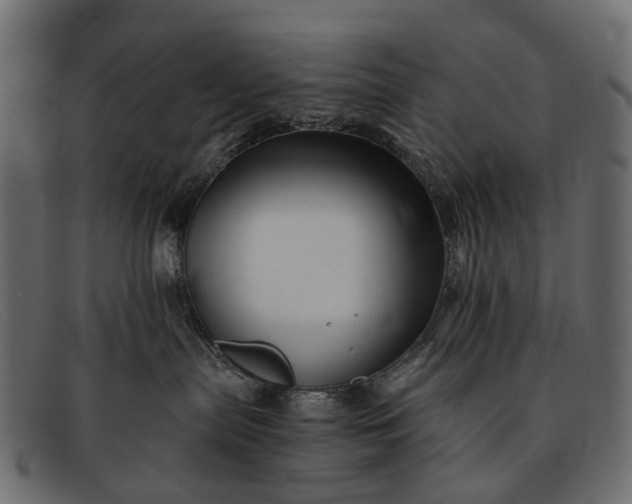 X0000091900287200709191243