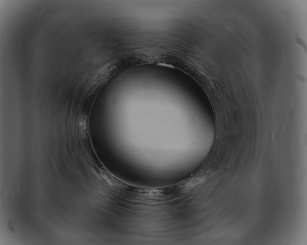 X0000091900288200709191243