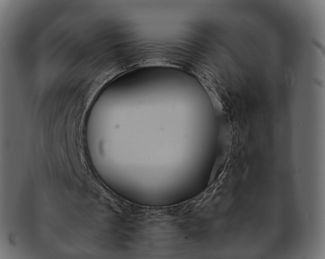 X0000091900289200709191243