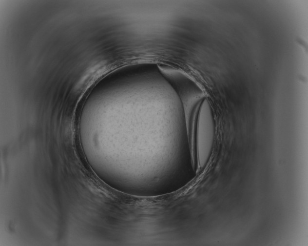 X0000091900290200709191243